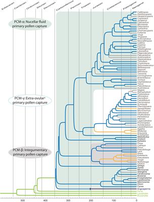 The Evolution of Sexual Fluids in Gymnosperms From Pollination Drops to Nectar